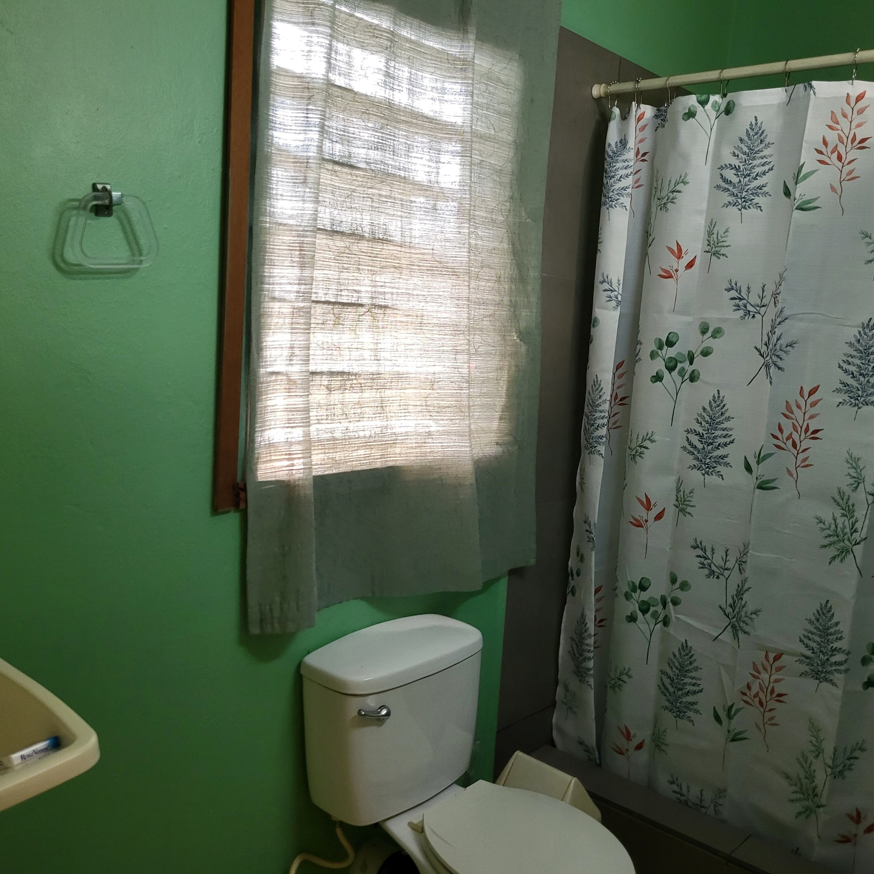 A bathroom with a toilet, a window with a sheer curtain, and a shower curtain with a leaf pattern.
