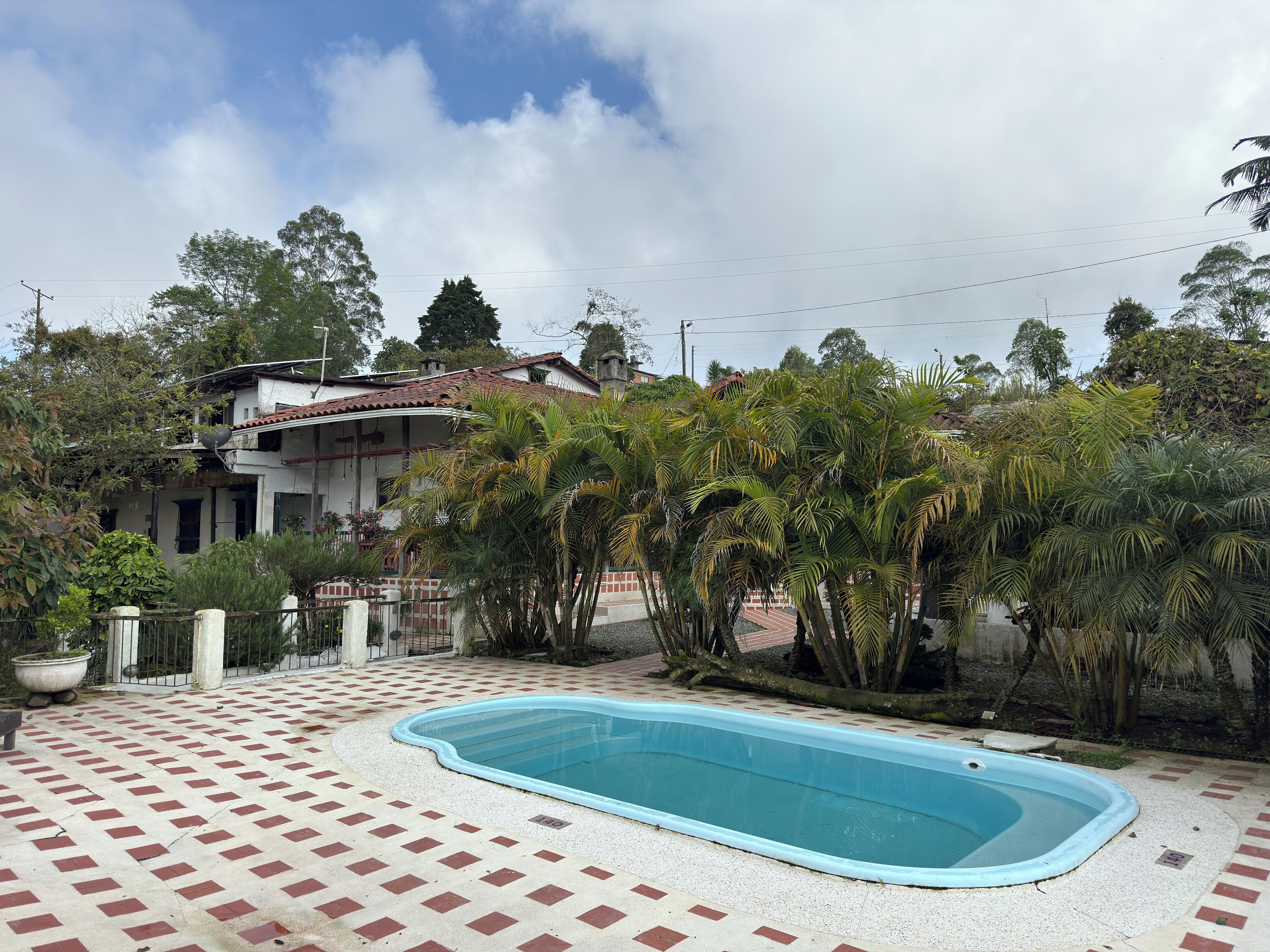 Una piscina con solárium de baldosas, rodeada de palmeras y una casa con techo rojo.