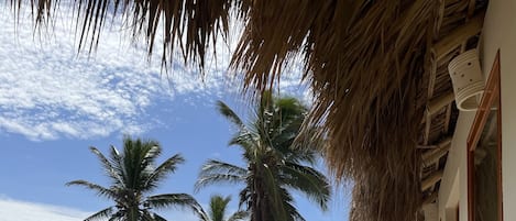 Vila, piscina particular, vista para o oceano | Terraço/pátio