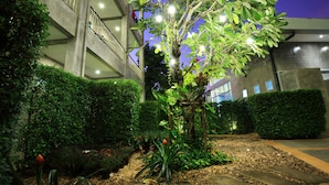 Un edificio de estructura escalonada, iluminación exterior y jardín ajardinado con diversas plantas y un árbol.