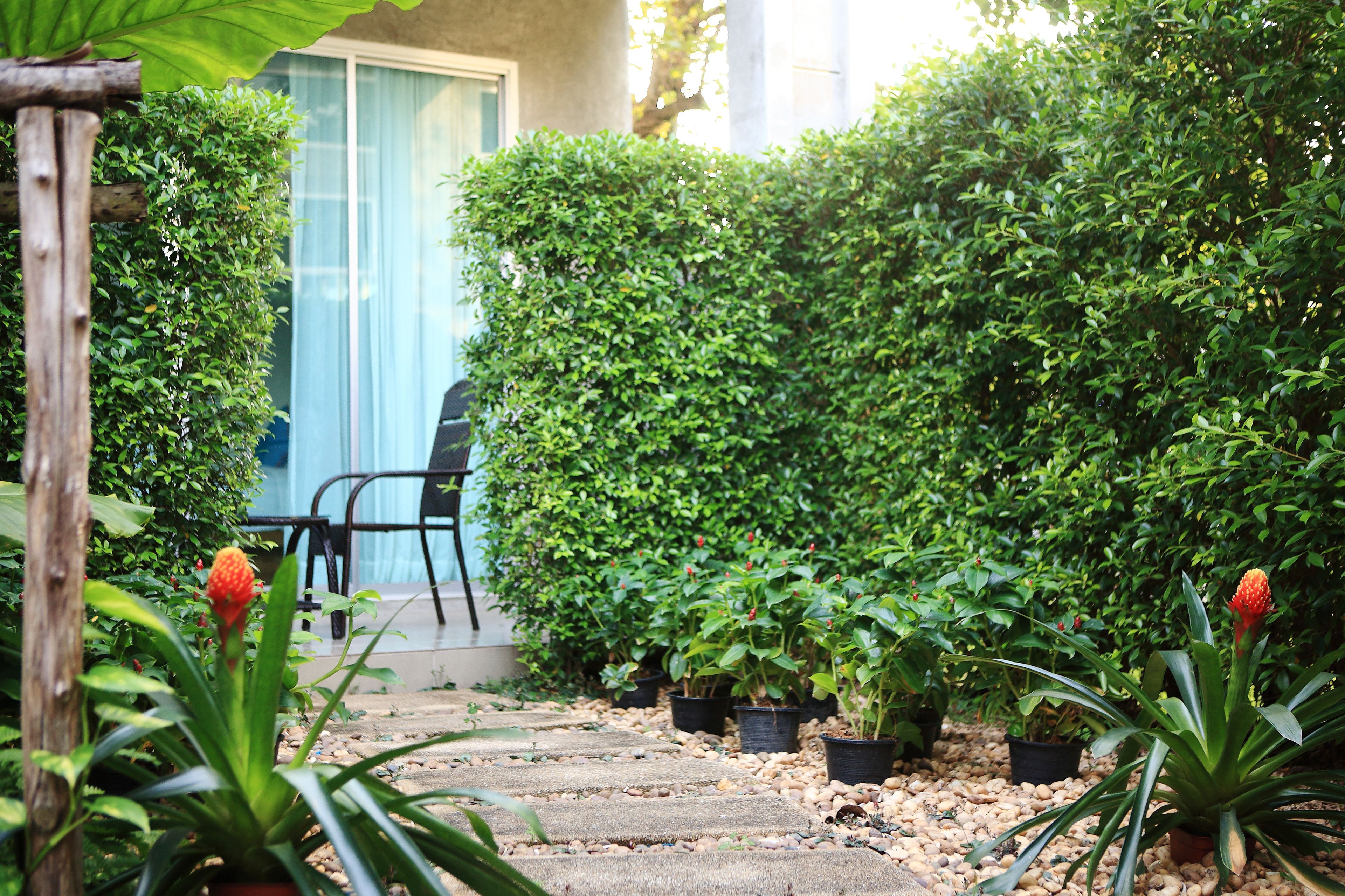 garden view room | 1 bedroom, minibar, in-room safe, desk