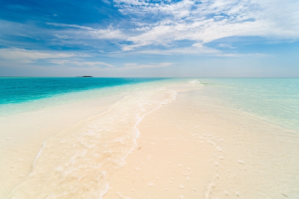 Plage privée à proximité, plongée sous-marine