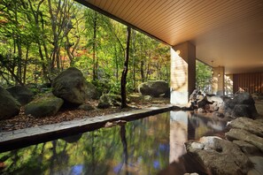 A serene indoor garden with a reflective water feature, large rocks, and a wooden ceiling. - Sounkyo Onsen Choyo Resort Hotel (Kamikawa)