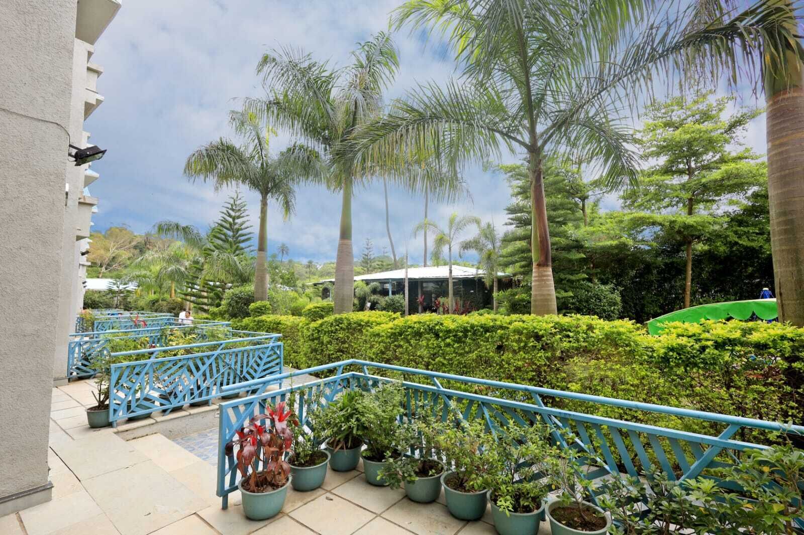 A courtyard with potted plants, a blue railing, and palm trees.