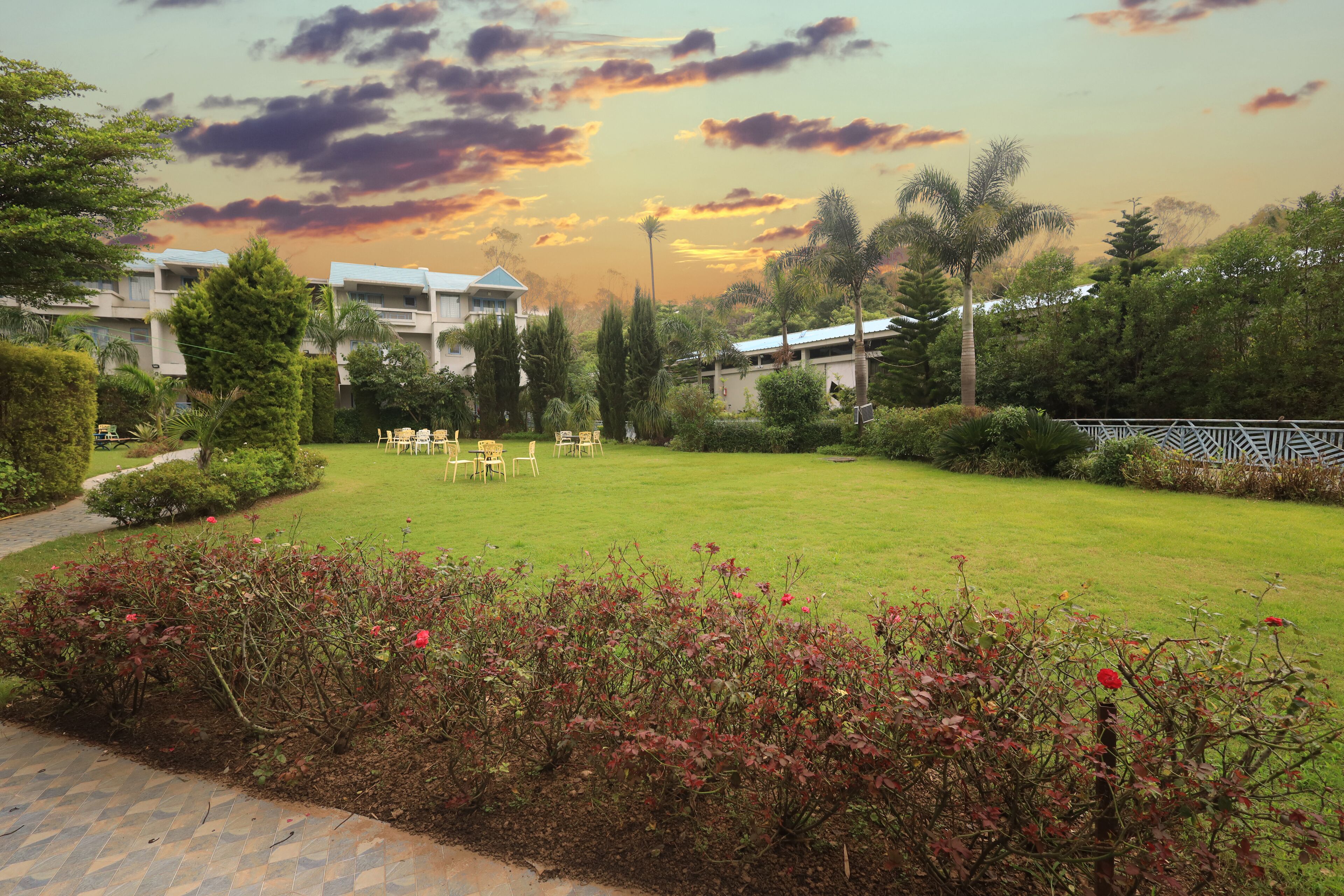 A well-maintained lawn with outdoor seating, surrounded by lush greenery and a clear sky.