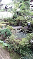 Un exuberante jardín con un pequeño estanque, diversas plantas y una estructura de madera.