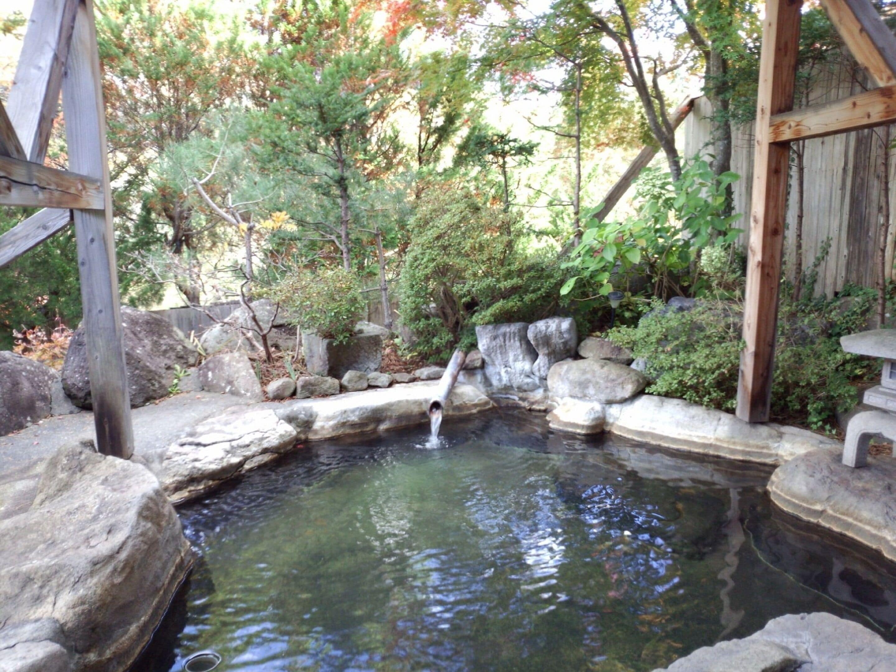 A tranquil garden with a small pond, surrounded by rocks and trees.