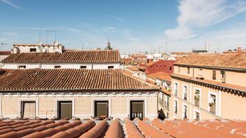 Vista de tejados de tejas color terracota y edificios con numerosas ventanas y balcones.