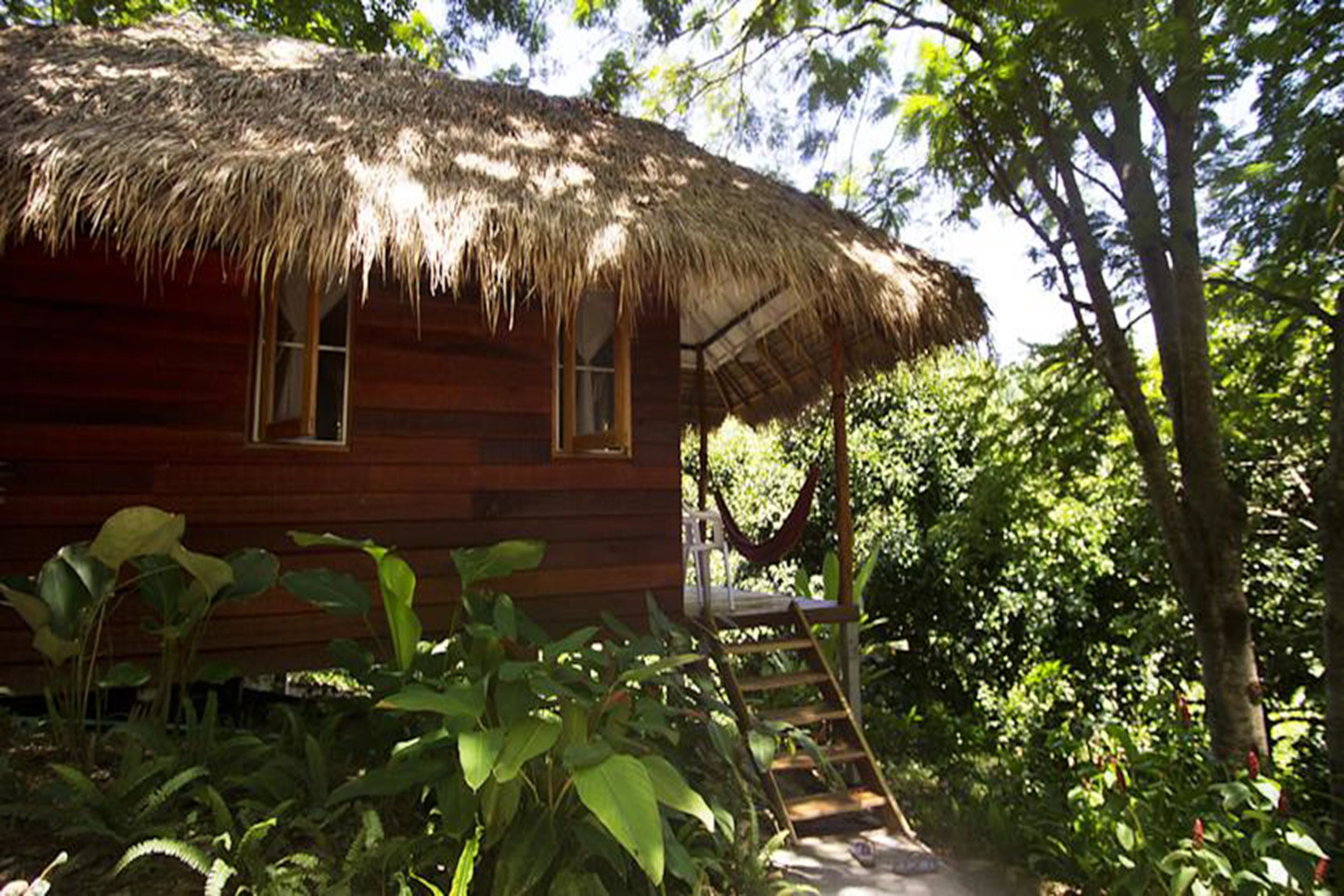 Une cabane en bois avec un toit de chaume, entourée d’une végétation luxuriante.