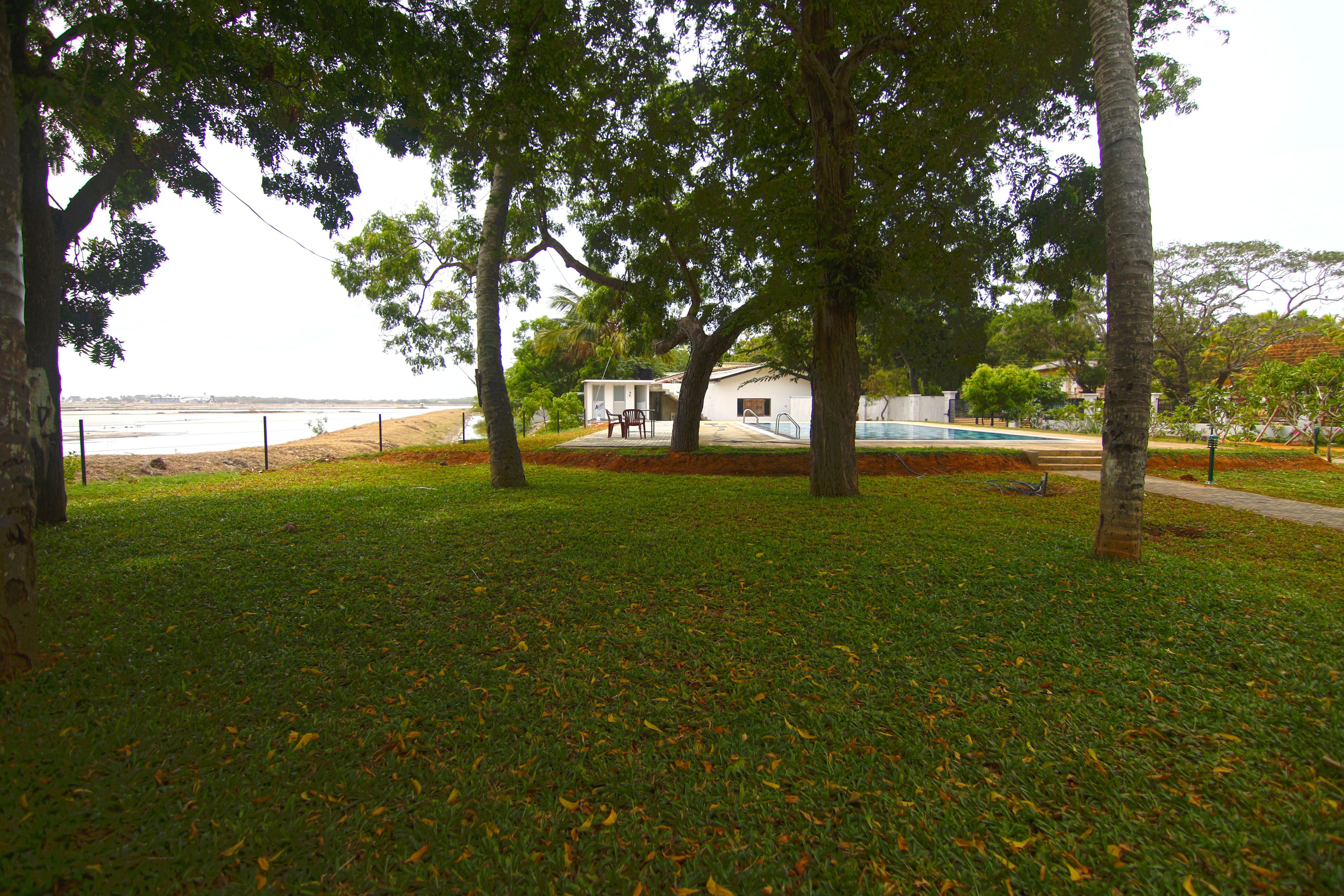 Una zona amb gespa, arbres i una piscina al fons.
