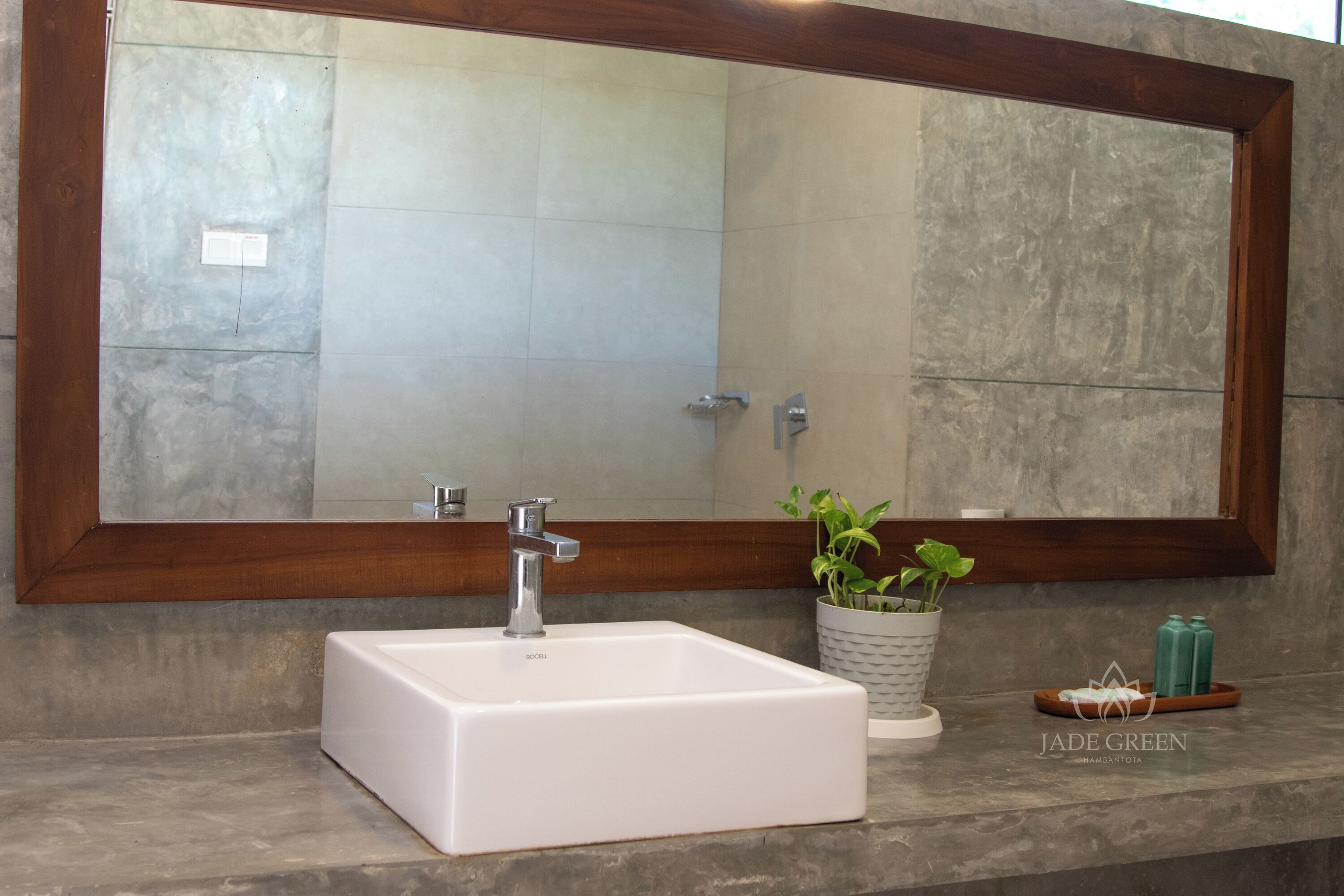 A bathroom with a white sink, a large mirror, and a potted plant on the counter.