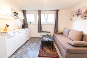 Apartamento básico, 1 quarto, cozinha | Ferros/tábuas de passar roupa, Wi-Fi de cortesia