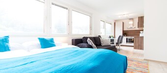 CheckVienna Apartment Veitingergasse II