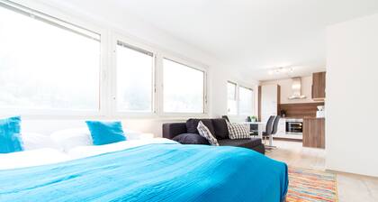 CheckVienna Apartment Veitingergasse II