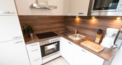 CheckVienna Apartment Veitingergasse II