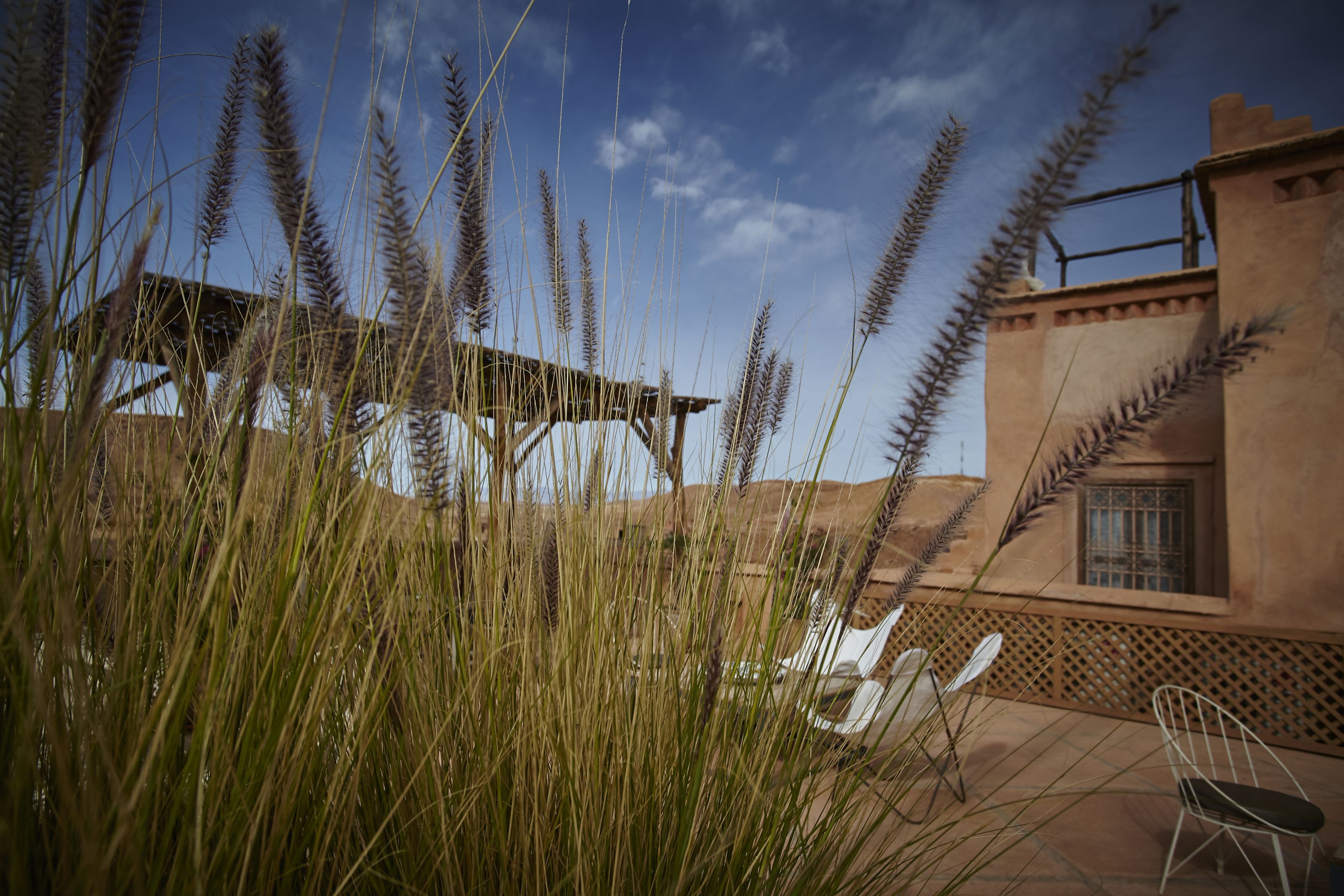 A desert landscape with tall grasses in the foreground, a wooden pergola, and a building with a lattice window.