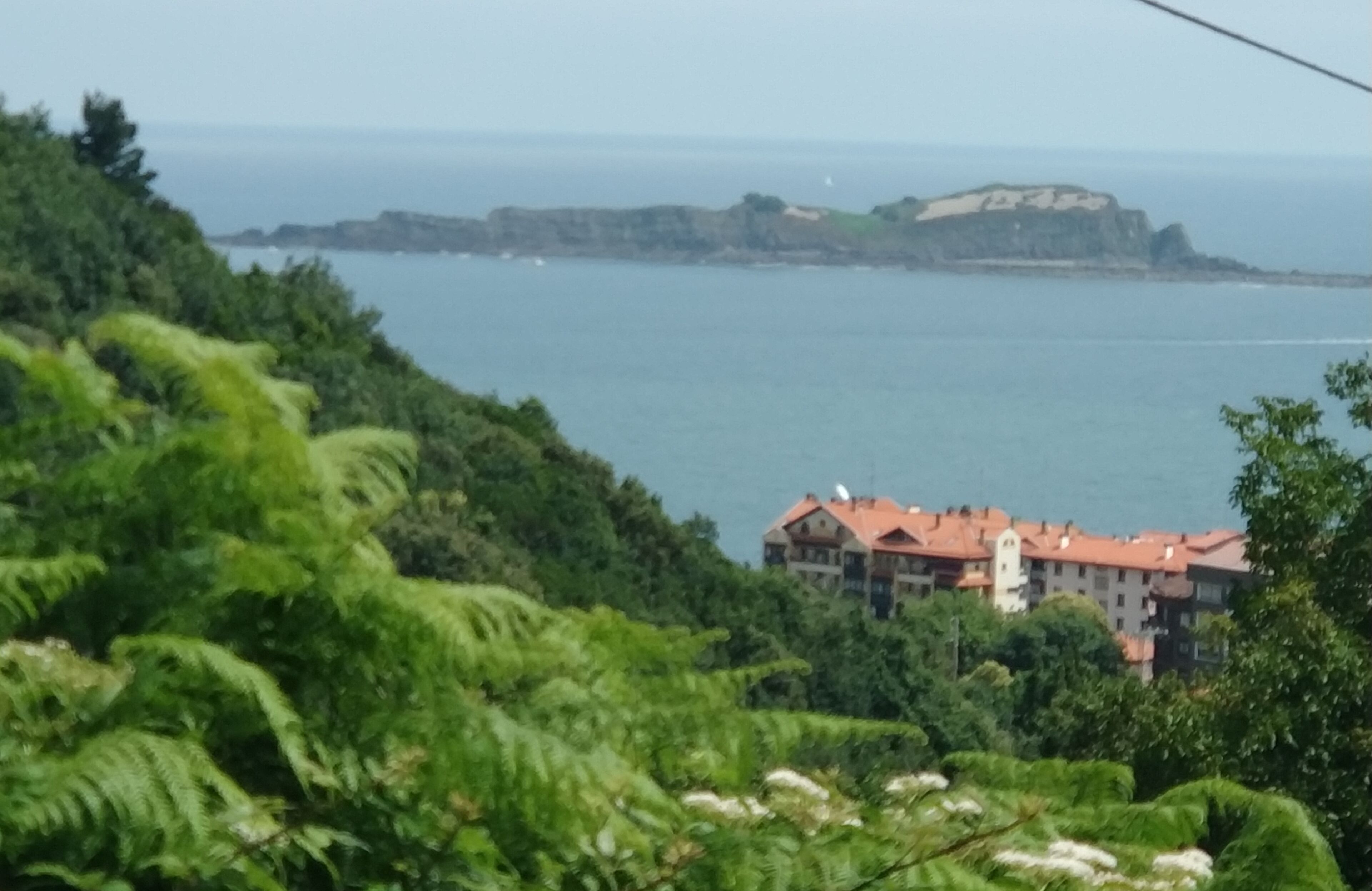Une vue sur la côte, avec un bâtiment doté d’un toit rouge, entouré d’une végétation luxuriante et donnant sur la mer.