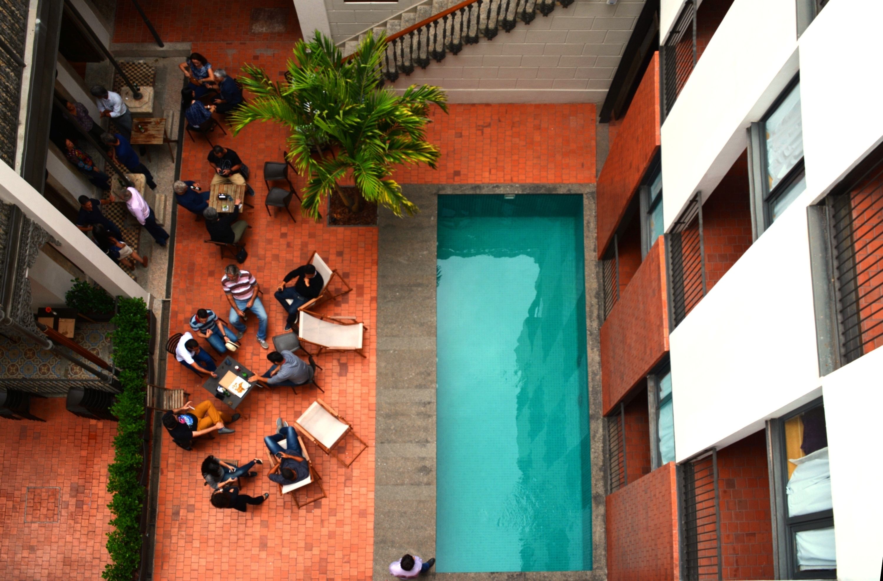 A rooftop pool area with people relaxing, a large palm tree, and a view of the building's brick facade.