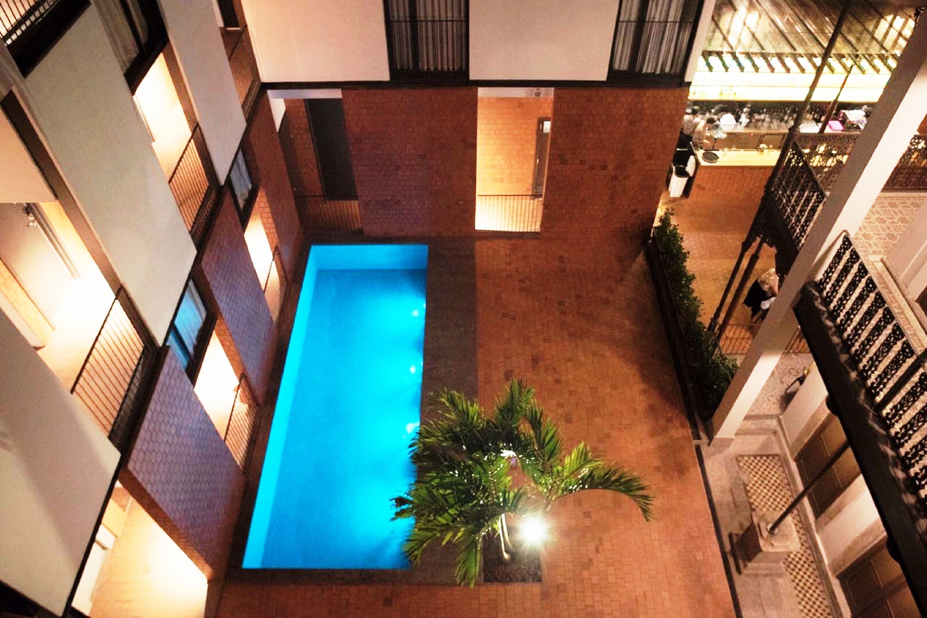 A rooftop pool area with a blue pool, surrounded by brick walls and a palm tree.