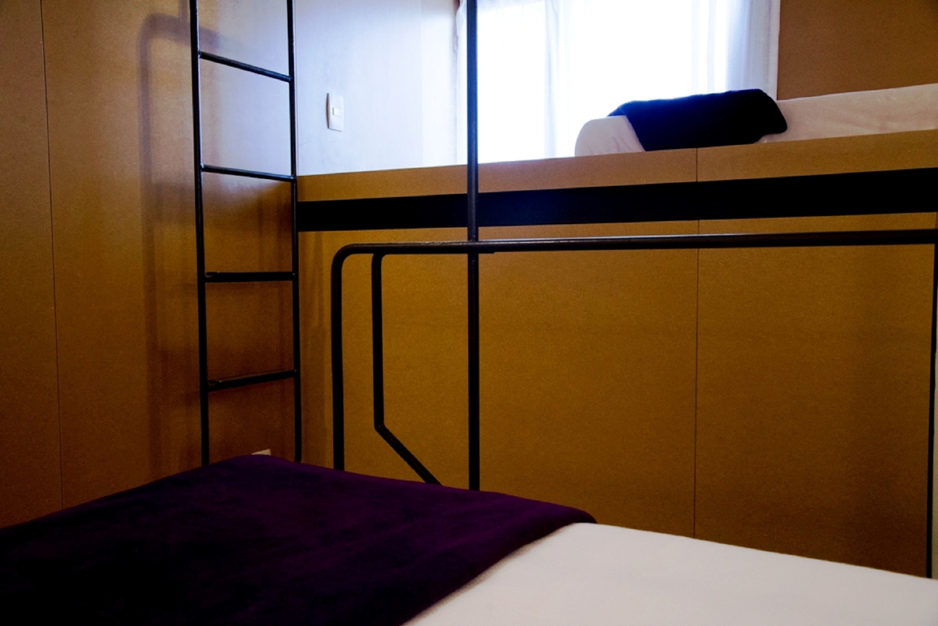 A bunk bed with a ladder, a window with a view, and a purple blanket on the lower bunk.