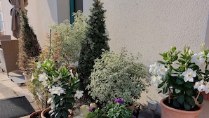 Potted plants and a wooden crate outside a building with a sign reading "T. Abbaye". - Hôtel le Relais de l'Abbaye (Saint-Evroult-Notre-Dame-du-Bois)