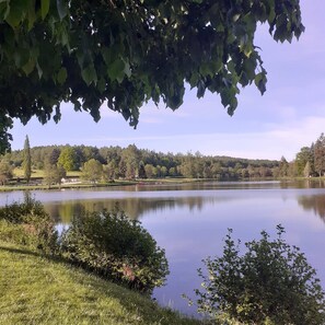 Ein ruhiger See mit einer grasbewachsenen Uferlinie und einem bewaldeten Hintergrund.