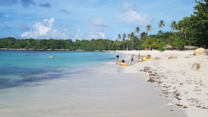 Nær stranden og hvit sand