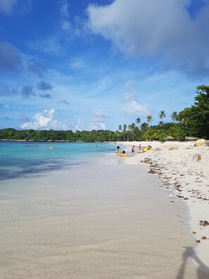 Pantai di sekitar dan pasir putih