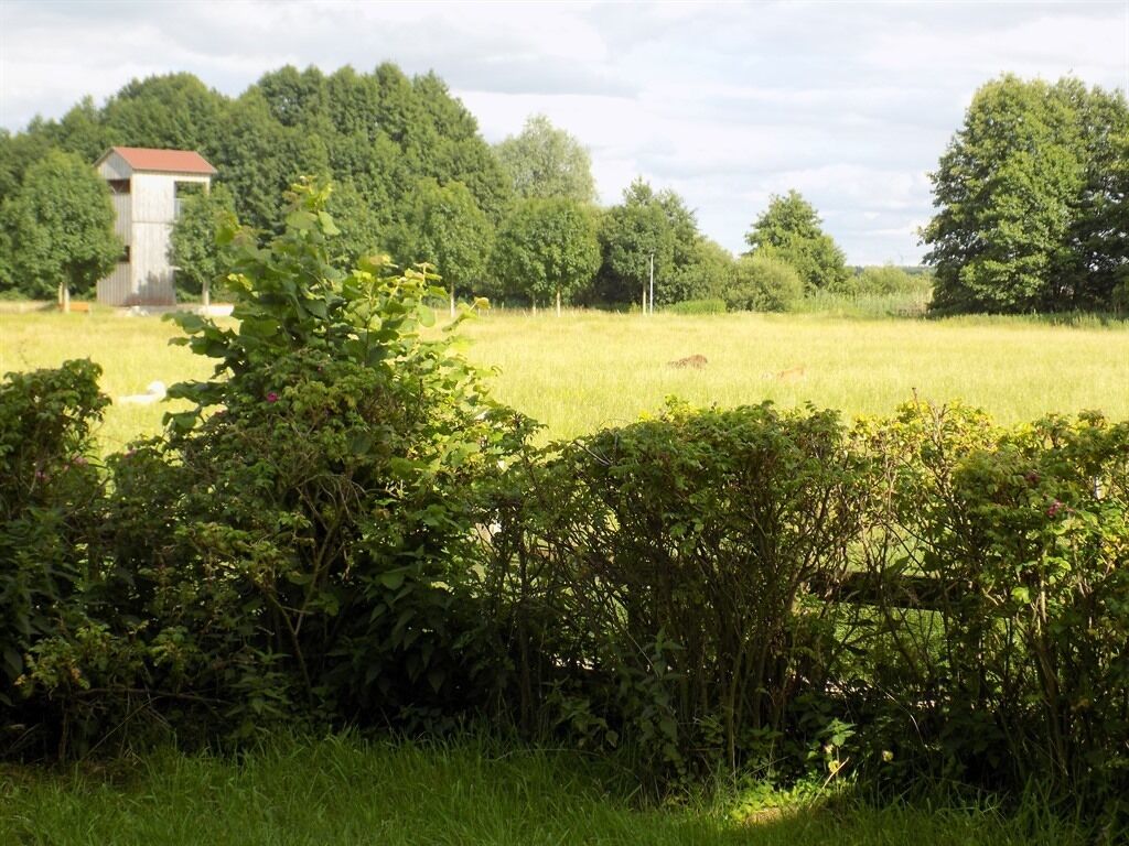 bungalow, private bathroom (bungalow) | view from property