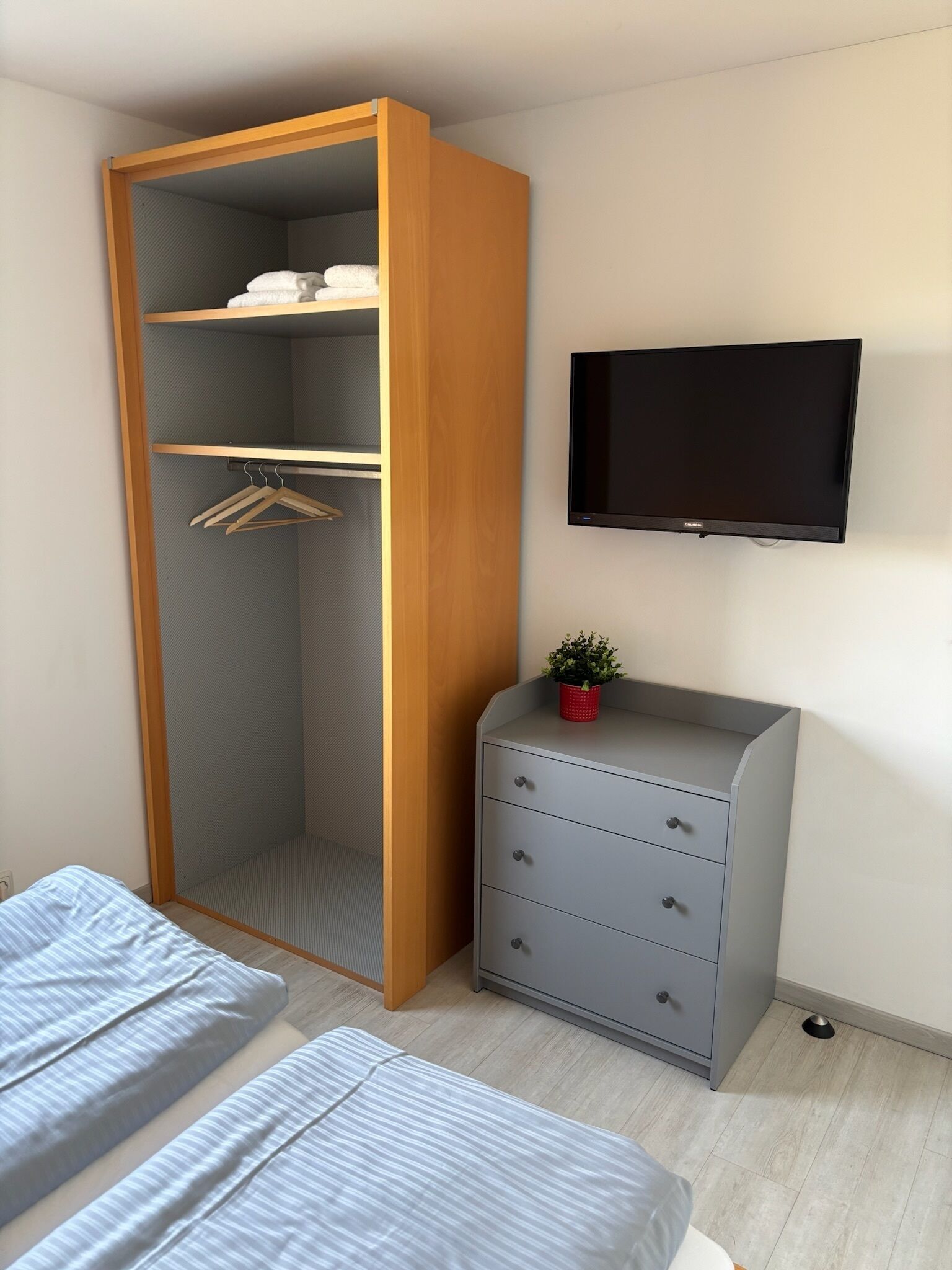 A bedroom with a wardrobe, a TV, a bedside table with a plant, and a bed.
