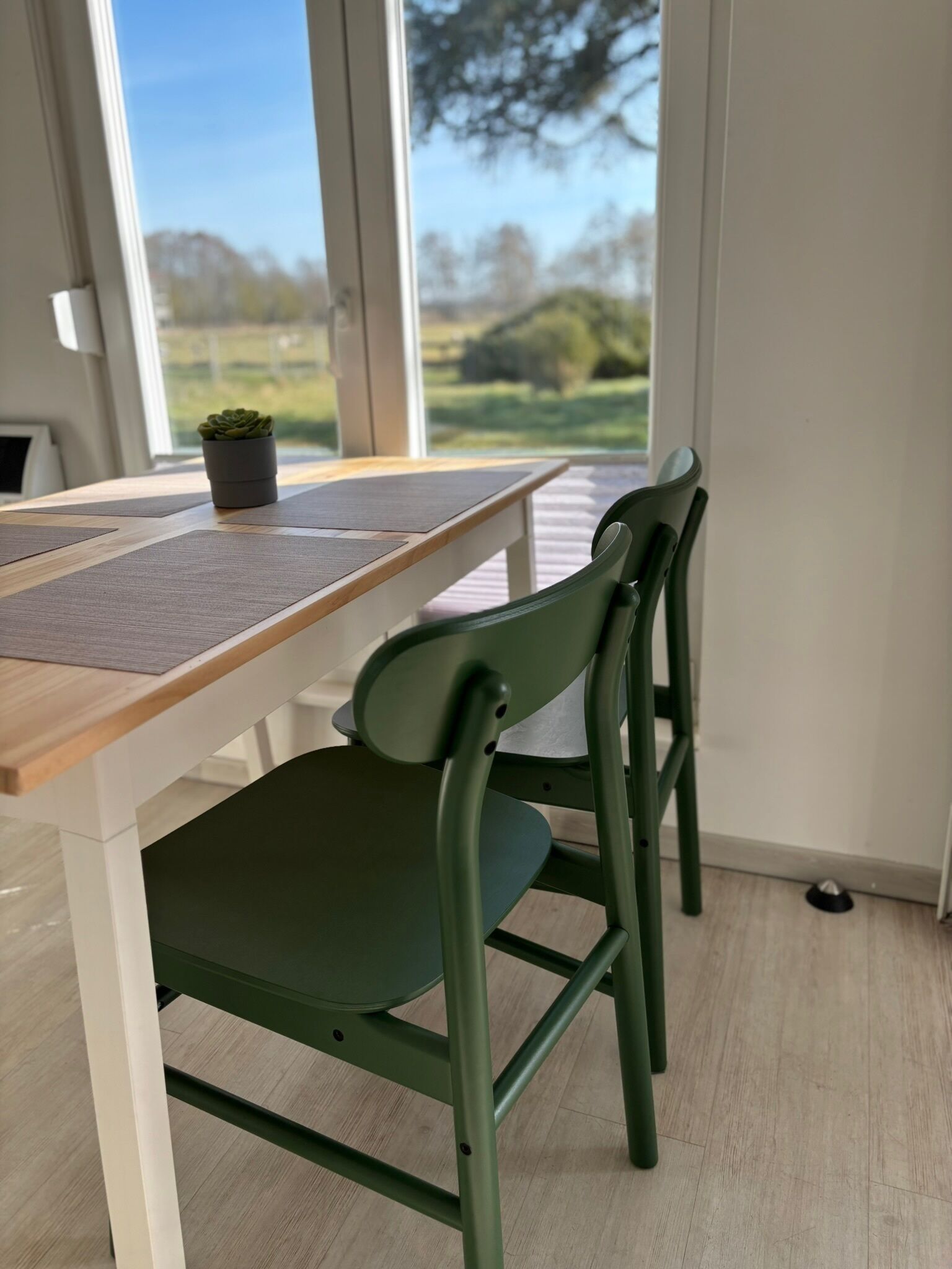 A dining area with a table and chairs, a potted plant, and a view through large windows.