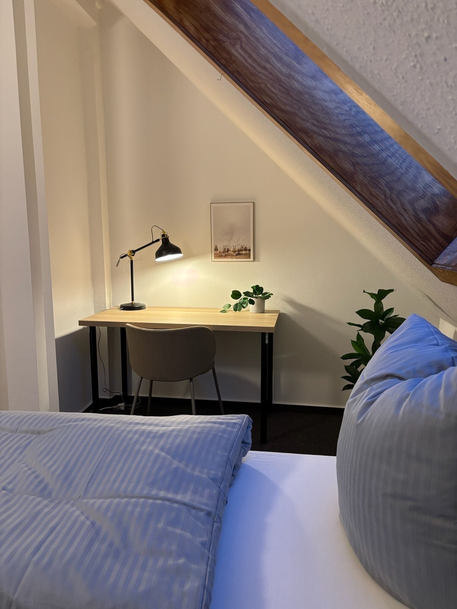 Une chambre à coucher comprenant un lit, un bureau avec une chaise, une lampe de bureau, un tableau encadré et une plante en pot.