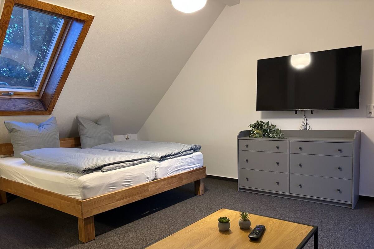 A bedroom with a bed, a dresser, a TV, a small table with plants, and a skylight.