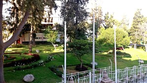 Um jardim bem cuidado com diversas árvores, gramado e cerca de metal branca.