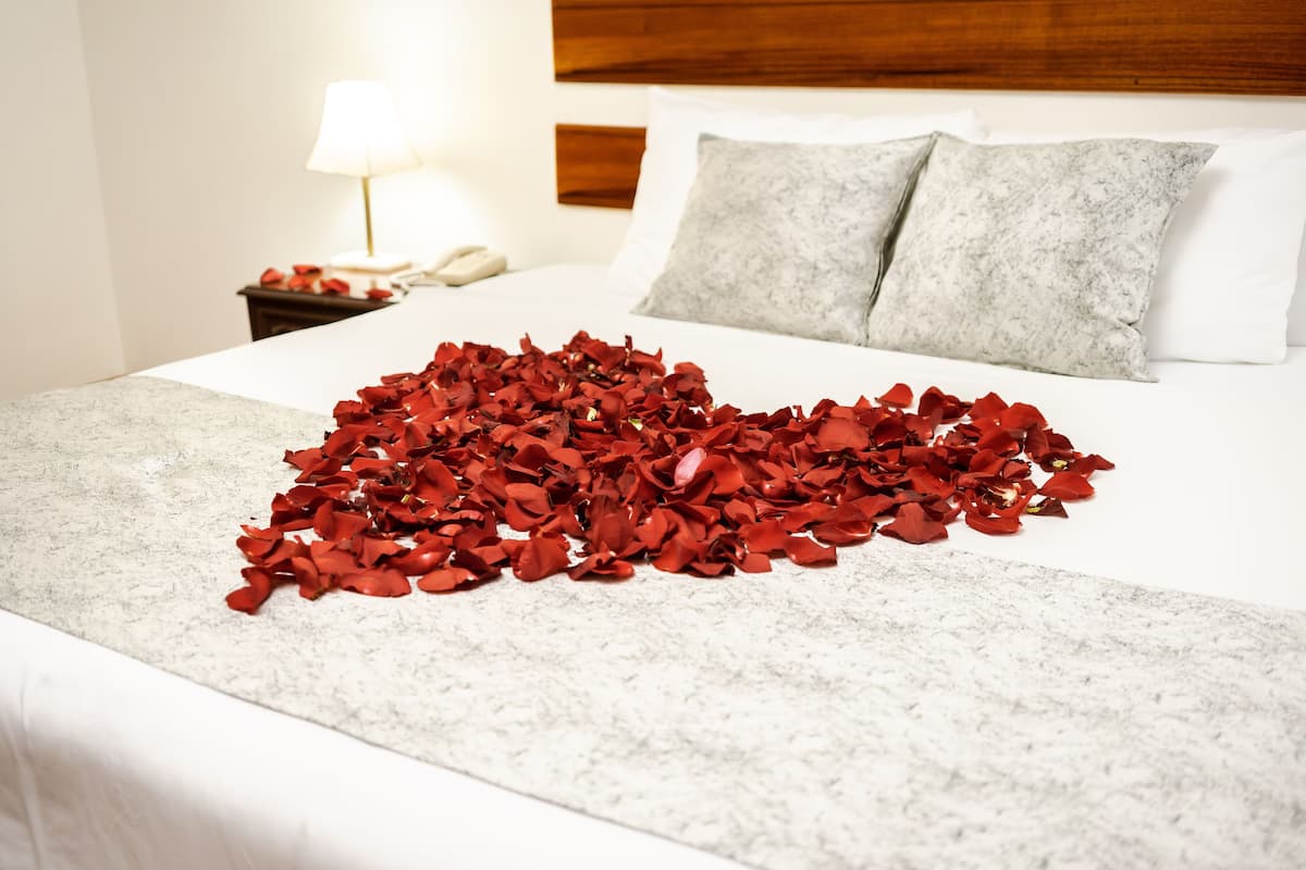 superior double room | 1 bedroom, down duvets, minibar, desk