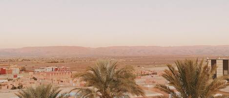A rooftop terrace with palm trees, a clear sky, and distant buildings.