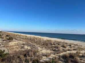 On the beach, white sand, sun loungers, beach towels - Atlantic View Hotel (Dewey Beach)