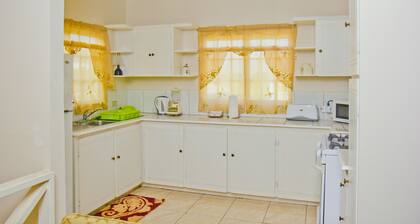 Port of Spain Windy Guest Apartment