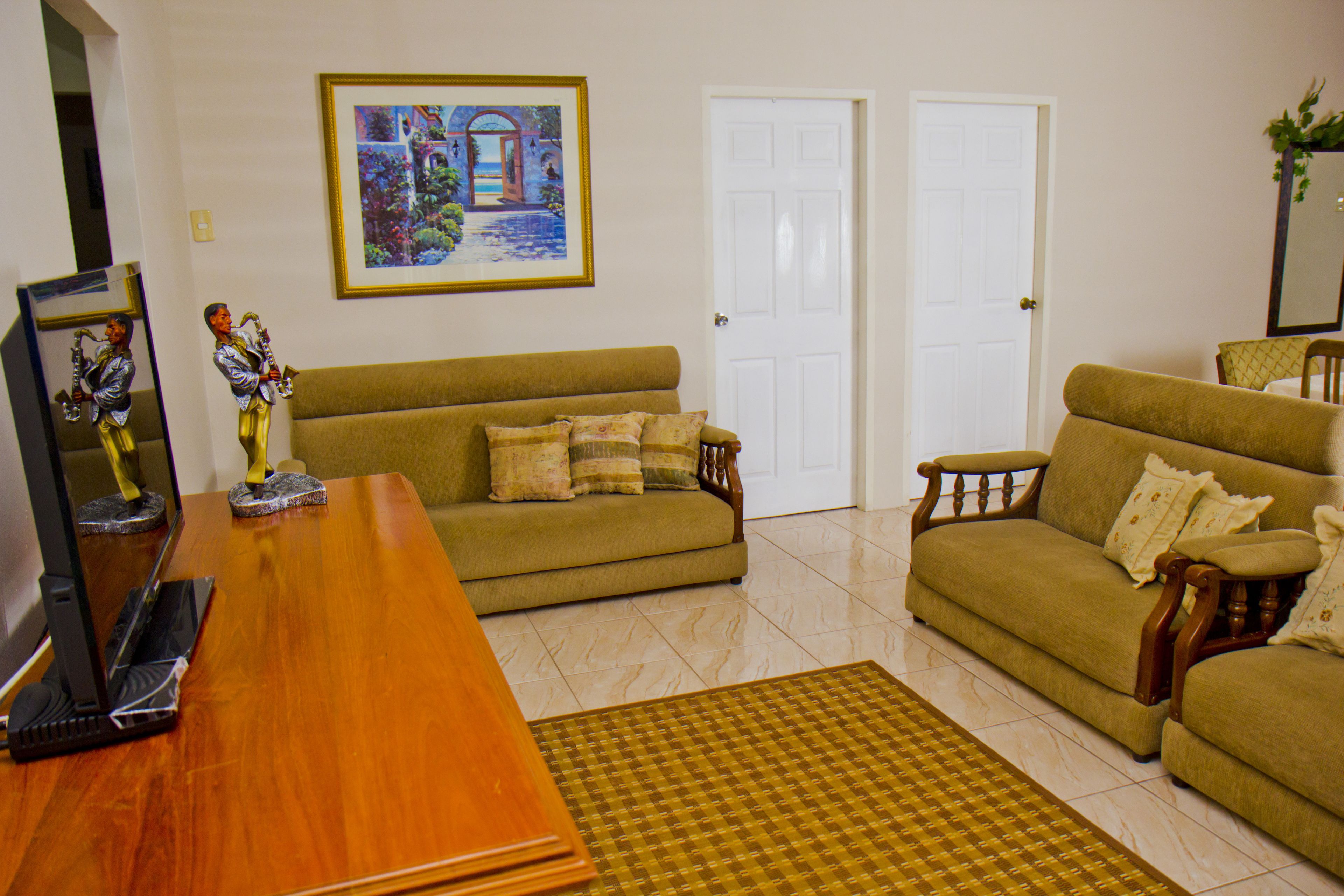 Televisión de pantalla plana 