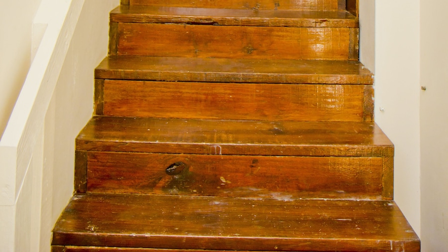 Port of Spain Windy Guest Apartment