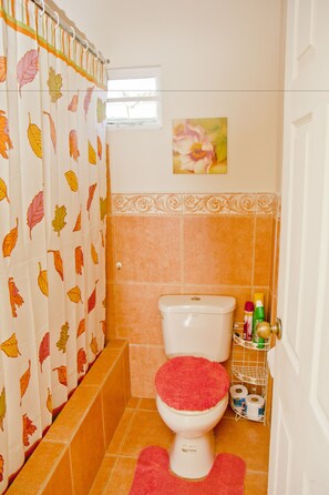 Apartamento Signature, 2 habitaciones, cocina | Baño | Ducha, artículos de higiene personal gratuitos y secador de pelo