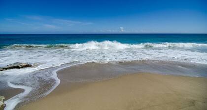 Blu Fish Perla Marina