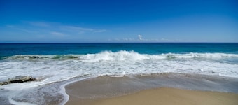 Blu Fish Perla Marina