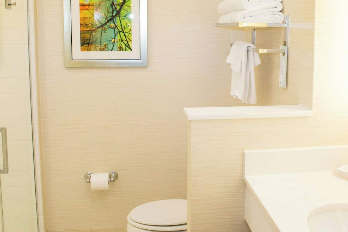 free toiletries, hair dryer, towels