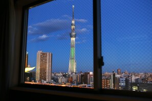 Quarto duplo, para não fumantes, vista para o rio | Vista do quarto