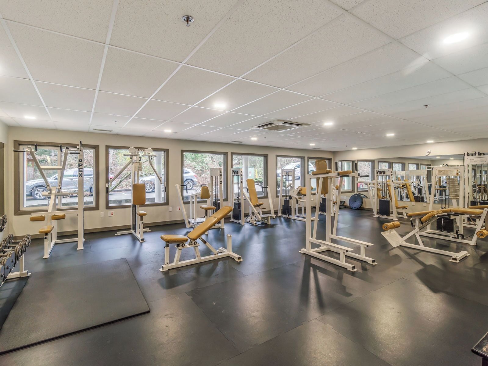 Ett rymligt gym med olika träningsmaskiner, stora fönster och en stilren, modern inredning.