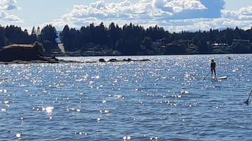 A group of people paddleboarding on a calm body of water with a forested shoreline in the background.