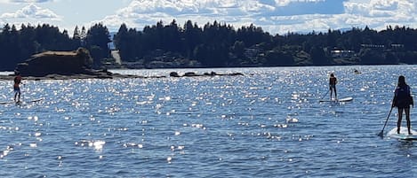 A group of people paddleboarding on a calm body of water with a forested shoreline in the background.