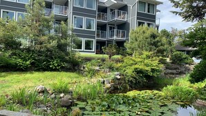 A modern multi-story building with balconies, surrounded by lush greenery and a small pond with lily pads.