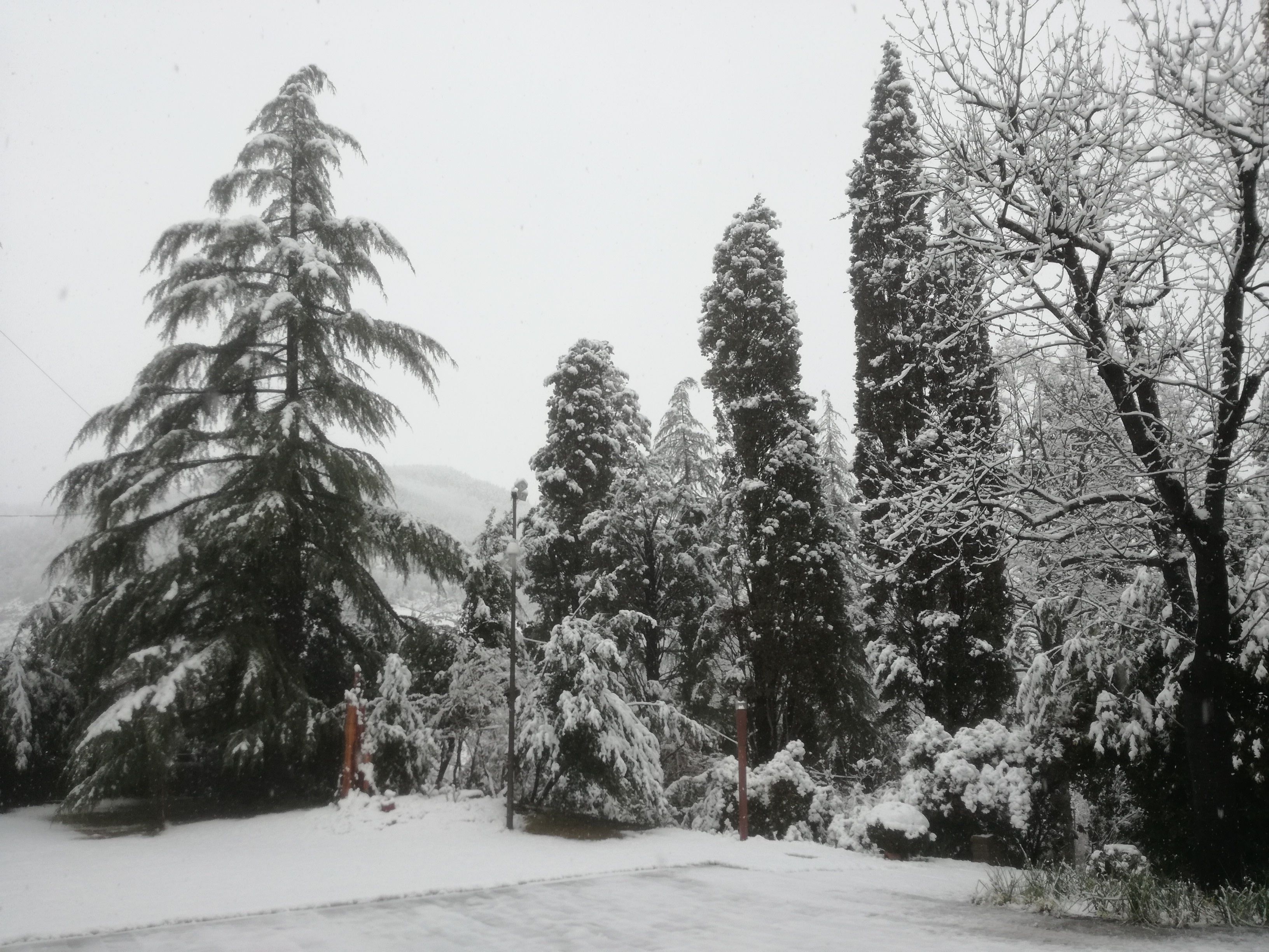豪華三人房, 無障礙 | 露台/庭院